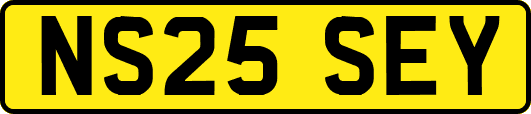 NS25SEY