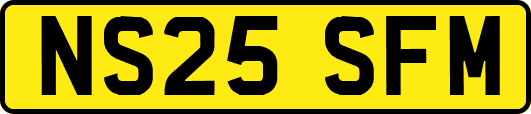 NS25SFM