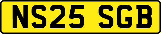 NS25SGB