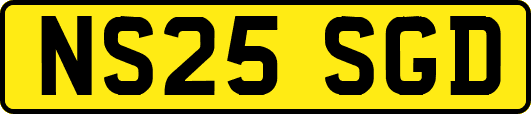 NS25SGD