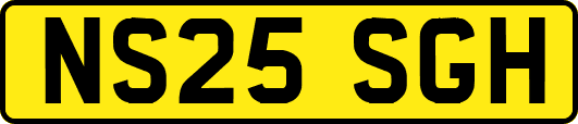 NS25SGH