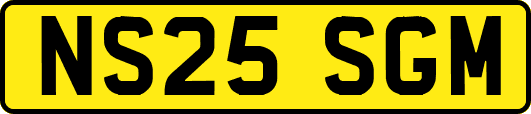 NS25SGM