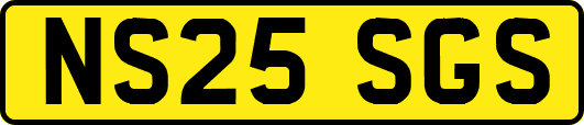 NS25SGS