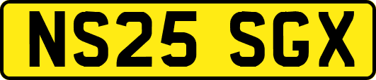 NS25SGX