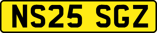 NS25SGZ