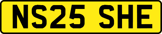 NS25SHE