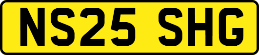 NS25SHG