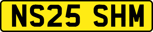 NS25SHM
