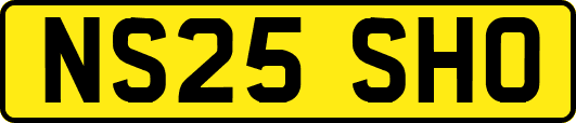 NS25SHO