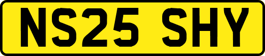NS25SHY