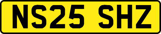 NS25SHZ