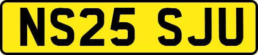 NS25SJU