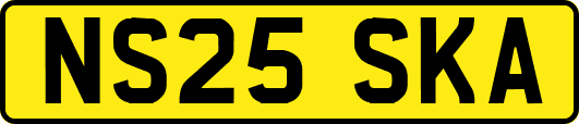 NS25SKA