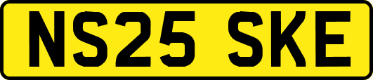 NS25SKE