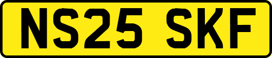 NS25SKF