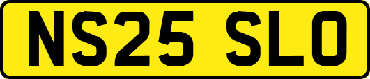 NS25SLO
