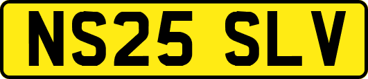NS25SLV