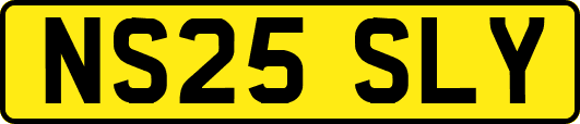 NS25SLY