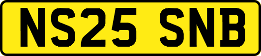 NS25SNB