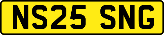 NS25SNG