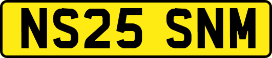 NS25SNM
