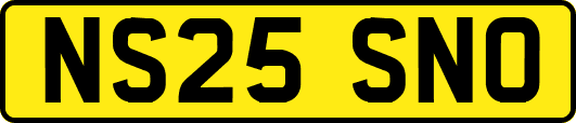 NS25SNO