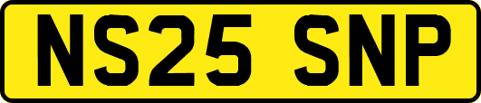 NS25SNP