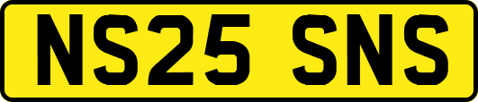 NS25SNS