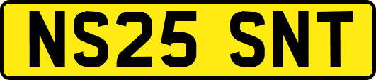 NS25SNT