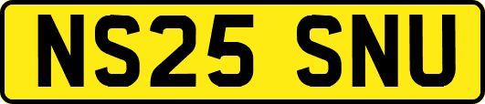 NS25SNU