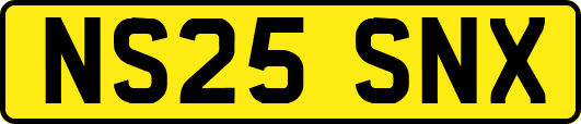 NS25SNX