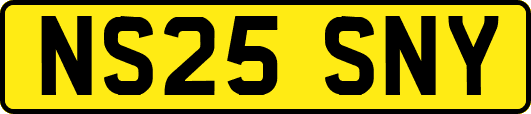 NS25SNY