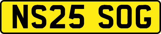 NS25SOG