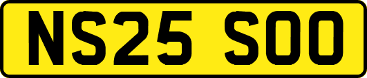 NS25SOO