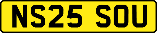 NS25SOU