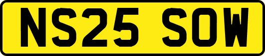 NS25SOW