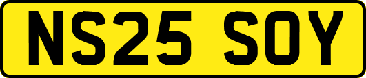 NS25SOY