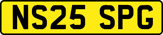NS25SPG