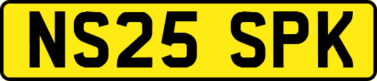 NS25SPK