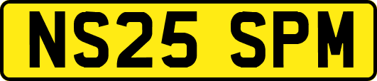 NS25SPM