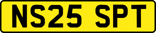 NS25SPT