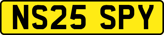 NS25SPY