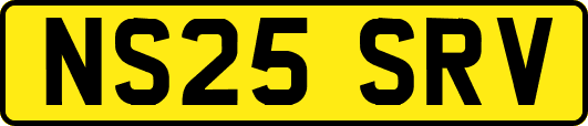 NS25SRV