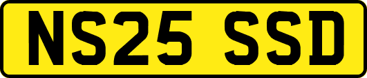 NS25SSD