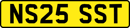 NS25SST