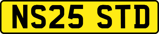 NS25STD