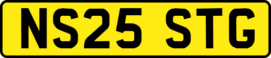 NS25STG