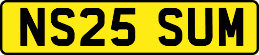 NS25SUM
