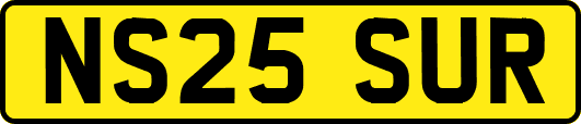 NS25SUR