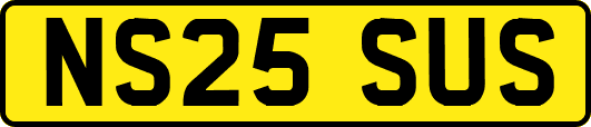 NS25SUS